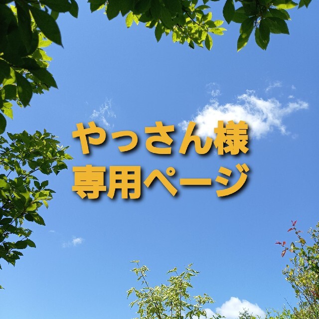 やっさん様専用ページの通販 by ひよこ's shop|ラクマ