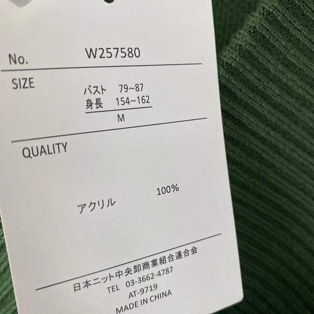 しまむら(シマムラ)の新品 しまむら今季新作 デザインニット ZARA IENA Vネック  レディースのトップス(ニット/セーター)の商品写真