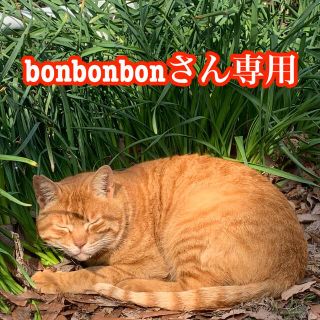 ブルックス(Brooks)のbonbonbonさん専用(シューズ)