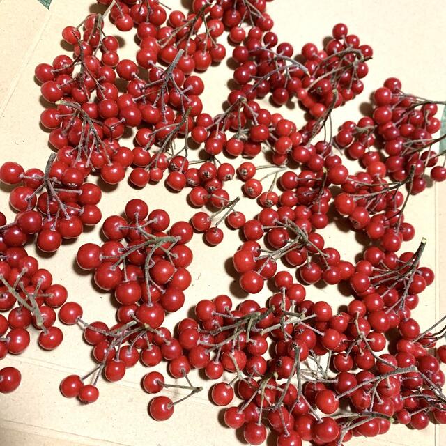 赤い実 アロニア 茎付き 花材 ドライフラワー 生花 パーツ 木ノ実 リース ハンドメイドの素材/材料(各種パーツ)の商品写真