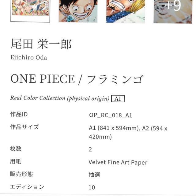 ONEPEACE マンガアート 世界限定10作品 尾田栄一郎 集英社 - 絵画