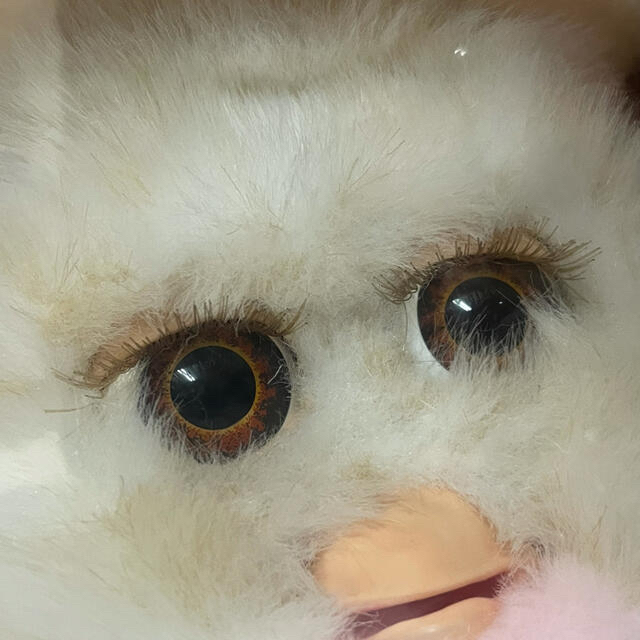 ファービー 2 furby 日本語版 未使用品 キャラメルシロップ ブラウンアイ 1