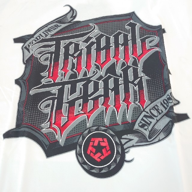 TRIBAL(トライバル)のTRIBAL GEAR Tシャツ メンズのトップス(Tシャツ/カットソー(半袖/袖なし))の商品写真