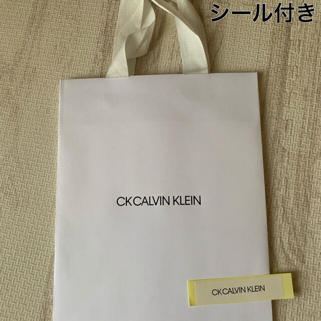 ck Calvin Klein(シーケーカルバンクライン)のCK CALVIN KLEINショップ袋【ブランドシール付】 レディースのバッグ(ショップ袋)の商品写真
