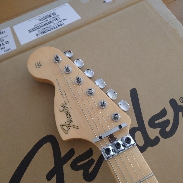 Fender Michiya Haruhata Stratocaster ﾗｸﾏ