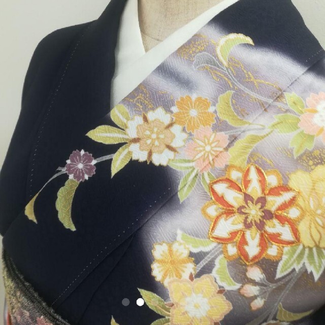 新作人気 訪問着着物刺繍単品 着物 - cycleoflifeadventures.com