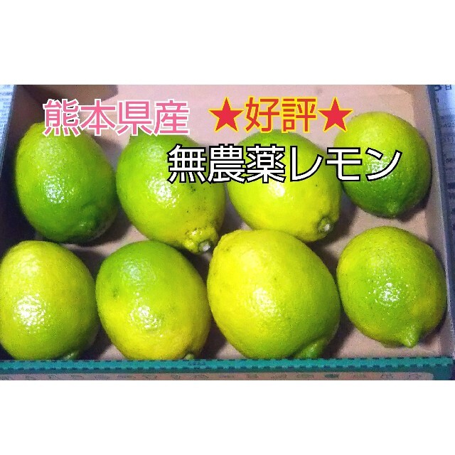 ★好評★　熊本県産　無農薬レモン 食品/飲料/酒の食品(フルーツ)の商品写真