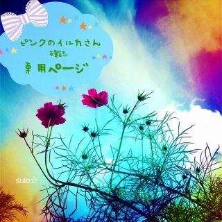 ピンクのイルカさん専用☆ANNiKA☆(その他)
