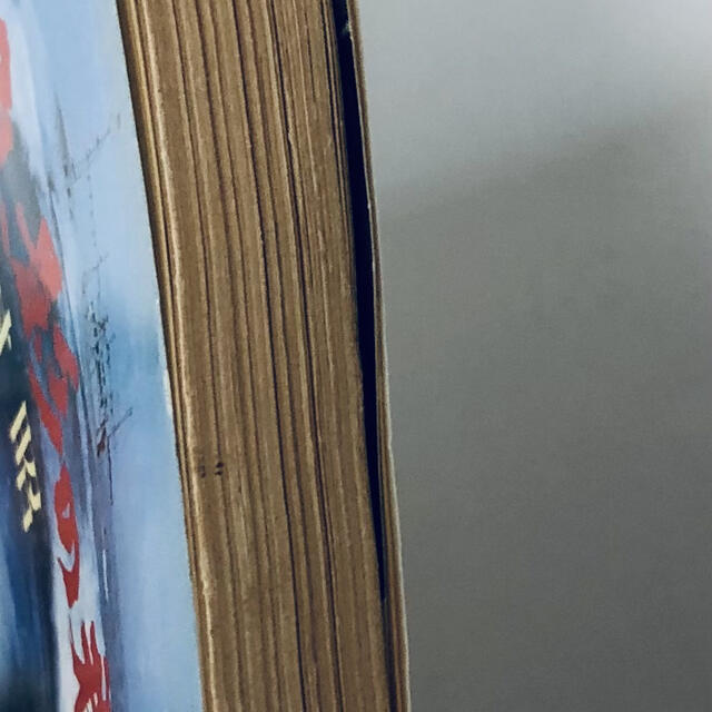 魚影の群れ　吉村昭　希少カバー品 エンタメ/ホビーの本(文学/小説)の商品写真