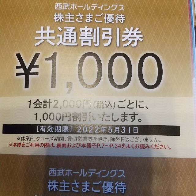 西武ホールディングス 共通割引券 １０枚その他