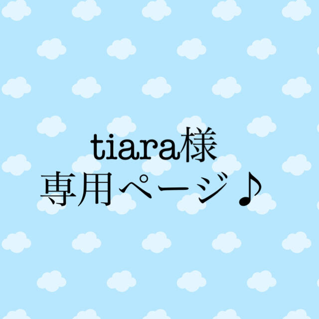 tiara様専用ページです!の通販 by 27日〜9日までお休み☆けいこんこん