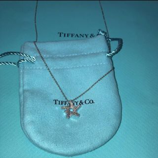 ティファニー(Tiffany & Co.)のtiffany ティファニー　フランクゲーリー　ネックレス　ダイヤモンド　限定(ネックレス)