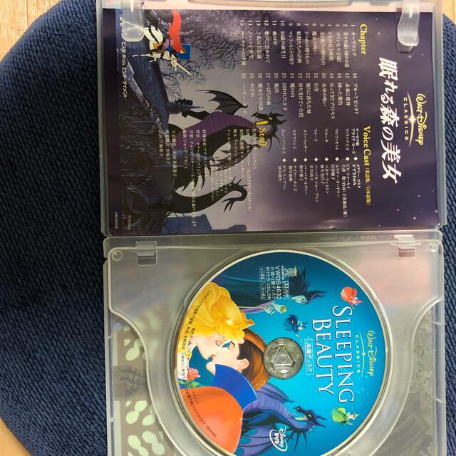 オーロラ姫(オーロラヒメ)の眠れる森の美女 DVD エンタメ/ホビーのDVD/ブルーレイ(舞台/ミュージカル)の商品写真
