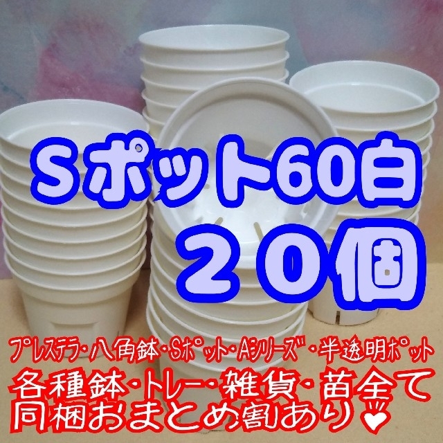 Sポット60 白 20個 2号 丸型 スリット鉢 プレステラ 多肉植物 プラ鉢 ハンドメイドのフラワー/ガーデン(プランター)の商品写真