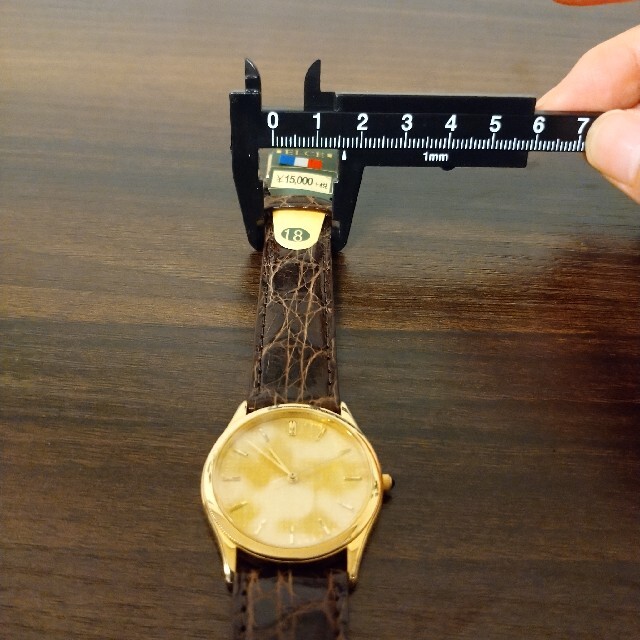 グランドセール 交換したばかりのベルトです☆ 腕時計 値下げ クロコダイル RICOH ブラウン 腕時計(アナログ)