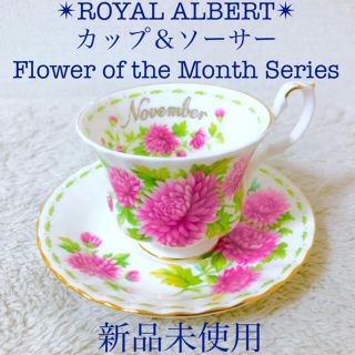 ロイヤルアルバート(ROYAL ALBERT)の新品 ロイヤルアルバートカップ＆ソーサー菊花 11月フラワーオブザマンスシリーズ(グラス/カップ)