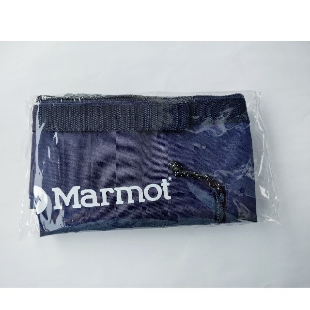 MARMOT(マーモット)のモノマックス 2021年 8月 付録 マーモット 2WAY保冷バックパック メンズのバッグ(バッグパック/リュック)の商品写真