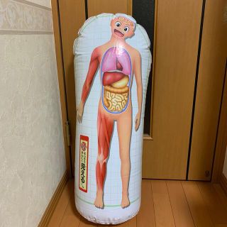 ショウガクカン(小学館)の人体学習　きんにくないぞうみえるくん(知育玩具)