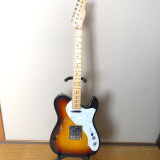 限定Modelシンライン国産 FGN NTL102-3TS(エレキギター)