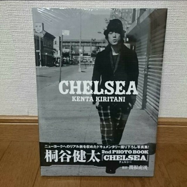 桐谷健太  PHOTO BOOK『CHELSHE』 エンタメ/ホビーのタレントグッズ(男性タレント)の商品写真