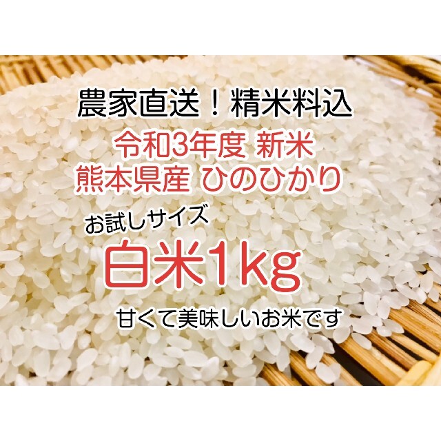 無地・新色登場! 農家直送の美味しいお米 令和元年度産 ヒノヒカリ 15