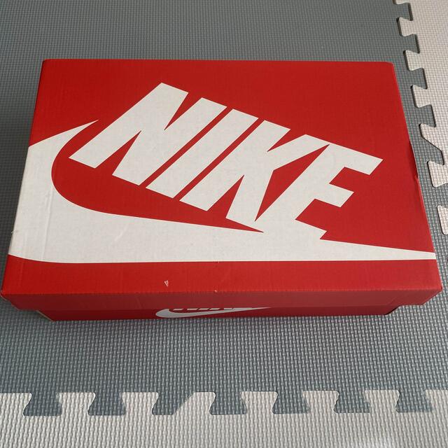 NIKE(ナイキ)のNBA × ナイキ ダンク ロー EMB 75thアニバーサリー シカゴ メンズの靴/シューズ(スニーカー)の商品写真
