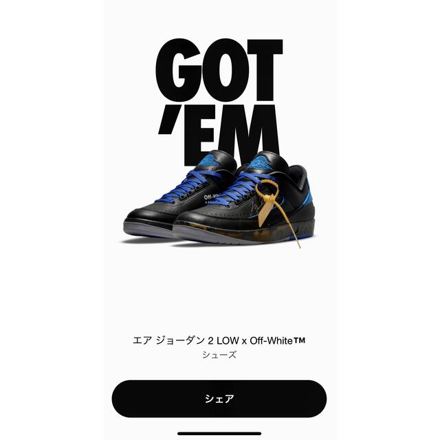 Off-White × Nike Air Jordan 2 Low 28.5cm