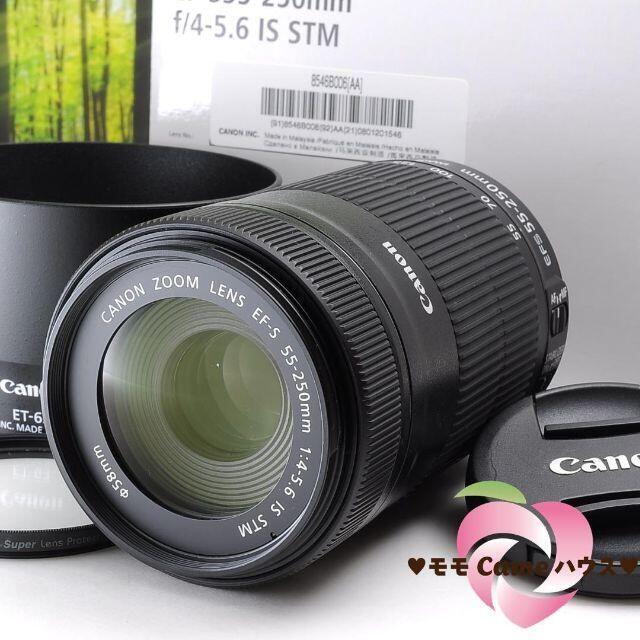 黒 桜古典 【ほぼ新品】 Canon EF-S 55-250㎜ IS STM 新型望遠レンズ