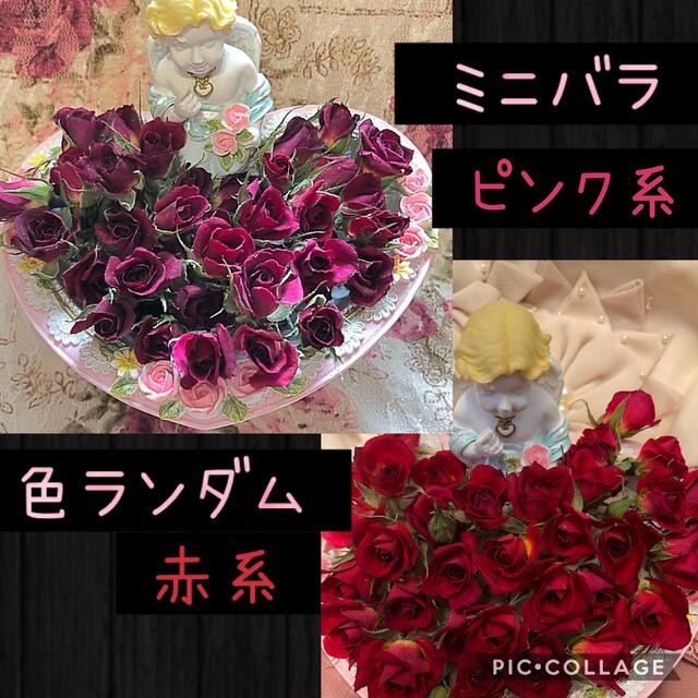 sea riry‥❤︎様専用★ミニ薔薇&ミニミニ薔薇★各１セット‥20輪+2輪付 ハンドメイドのフラワー/ガーデン(ドライフラワー)の商品写真