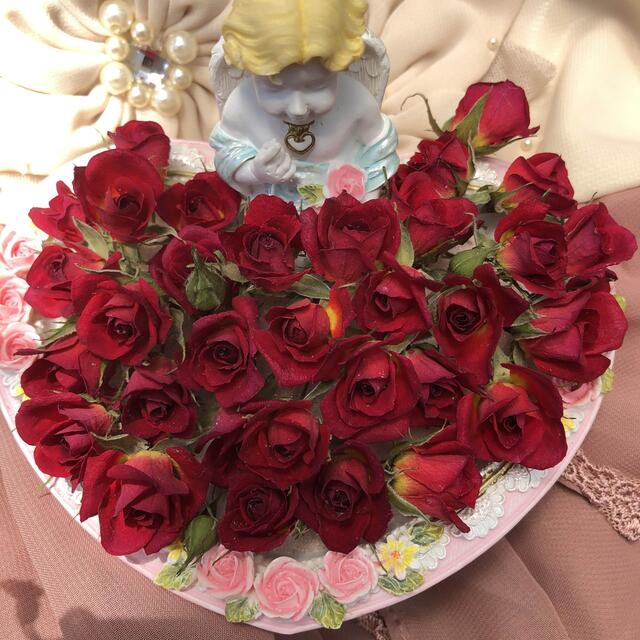 sea riry‥❤︎様専用★ミニ薔薇&ミニミニ薔薇★各１セット‥20輪+2輪付 ハンドメイドのフラワー/ガーデン(ドライフラワー)の商品写真