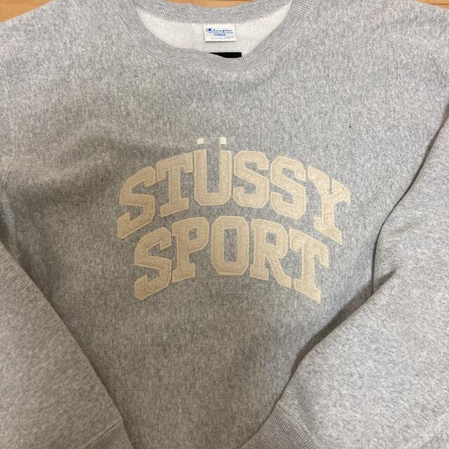 STUSSY(ステューシー)のステューシー　リバースウィーブ　とダウン メンズのトップス(スウェット)の商品写真