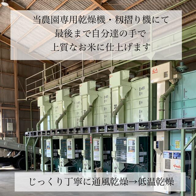 令和3年新米 自然栽培米 玄米20kg 農薬肥料不使用 コシヒカリ