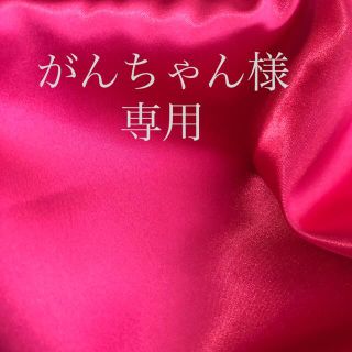 がんちゃん様専用(その他)