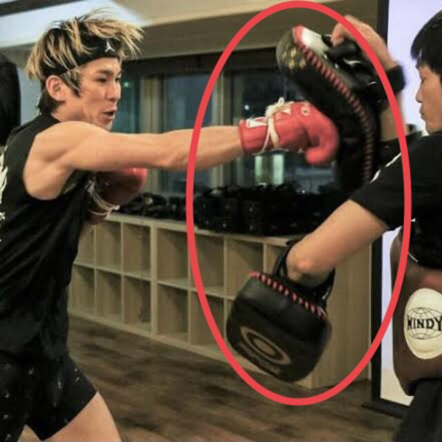 新品】fairtex キックミット KPLC6 Black/Gord 新品】fairtex キックミット KPLC6 Black/Gord