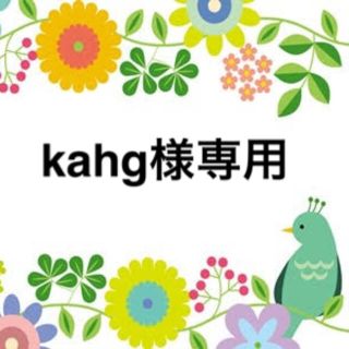 【kahg様専用】(菓子/デザート)