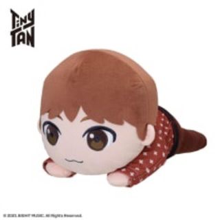 ボウダンショウネンダン(防弾少年団(BTS))のTiny  TAN メガジャンボ寝そべりぬいぐるみ　jin(アイドルグッズ)