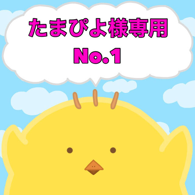 ショップ - ジョーシンの公式通販サイト ぴよ様専用 mundoconstructor