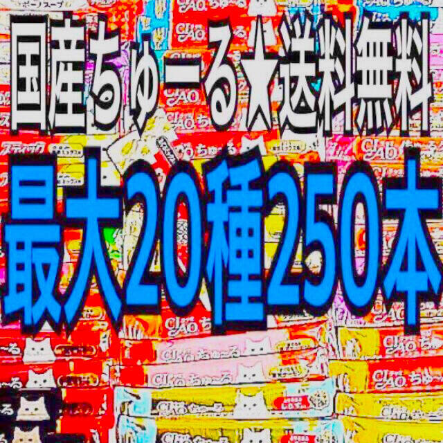 G10〜20種250本 国産 猫のおやつ いなばチャオちゅーる CIAOちゅ〜るciaoちゅーる