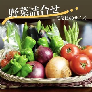 a【無農薬野菜詰合せ】宅急便60サイズ(野菜)