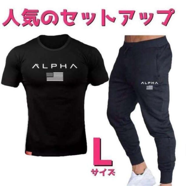 Tシャツ×スウェットジョガーパンツ　セットアップ　メンズジムウェアLサイズ黒×黒 メンズのトップス(Tシャツ/カットソー(半袖/袖なし))の商品写真