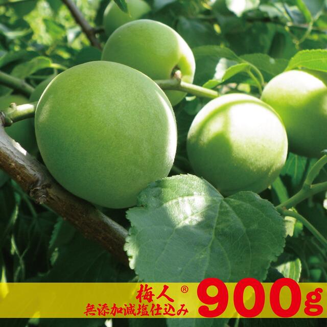 on 6762様専用 無添加減塩仕込み白加賀梅干し1.8kg（900g2セット） 食品/飲料/酒の加工食品(漬物)の商品写真