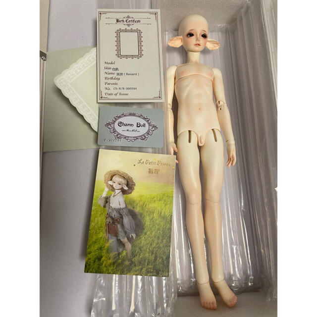 ✨【NEW限定品】✨ charmdoll Renard - centrocasacremona.it