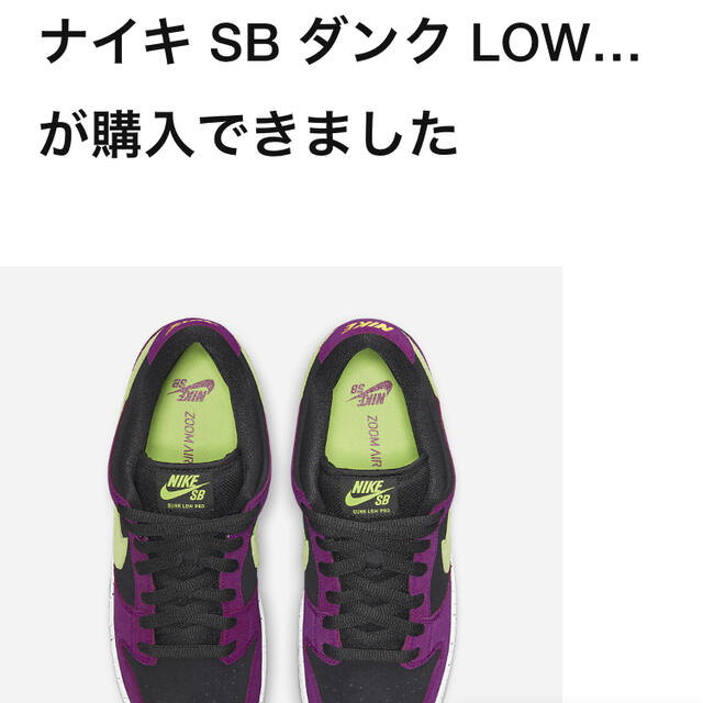 【断捨離！】NIKE SB DUNK LOW PRO RED PLUM28.5