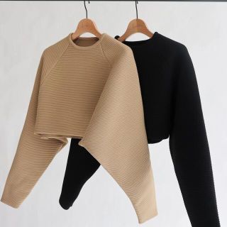 トゥデイフル(TODAYFUL)のlouren crewneck short pullover(ニット/セーター)