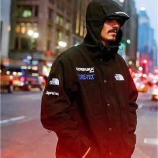 ザノースフェイス(THE NORTH FACE)のsupreme northface expedition jacket L(マウンテンパーカー)