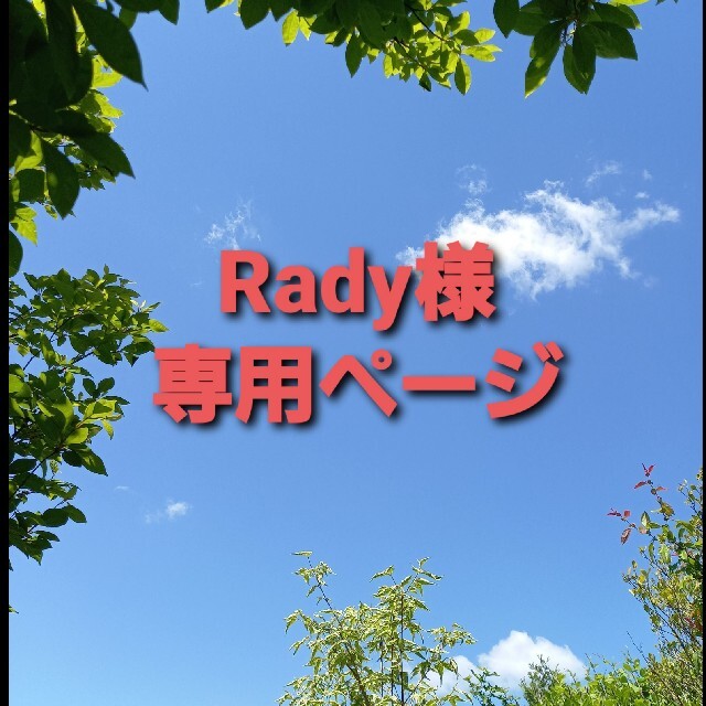 Rady様専用ページ ハンドメイドのフラワー/ガーデン(その他)の商品写真