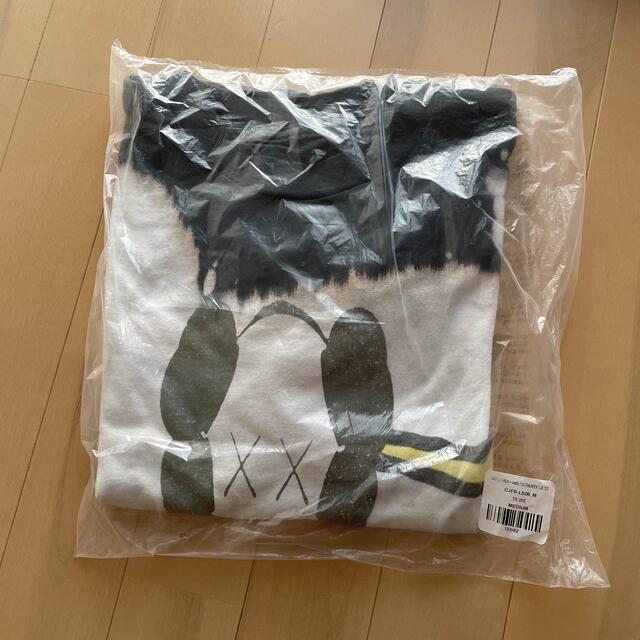 Travis Scott Cactus Jack KAWS FRAGMENT