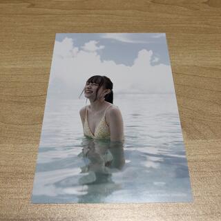 ノギザカフォーティーシックス(乃木坂46)の鈴木絢音写真集　特典ポストカード(アイドルグッズ)