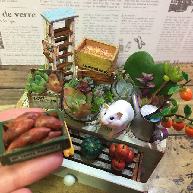 多肉植物の寄せ植え　木箱チェスト(ham’s shop) ハンドメイドのフラワー/ガーデン(その他)の商品写真