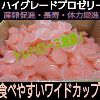 送料無料！ハイグレードプロゼリー50個ワイドカップ　17g　成分拘ったプロ仕様(虫類)